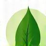 Eco-conscious leaf icon