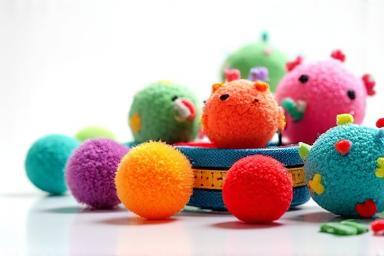 Selection of colorful pet toys and collars