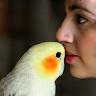 Rana Ahmed feeding her pet cockatiel